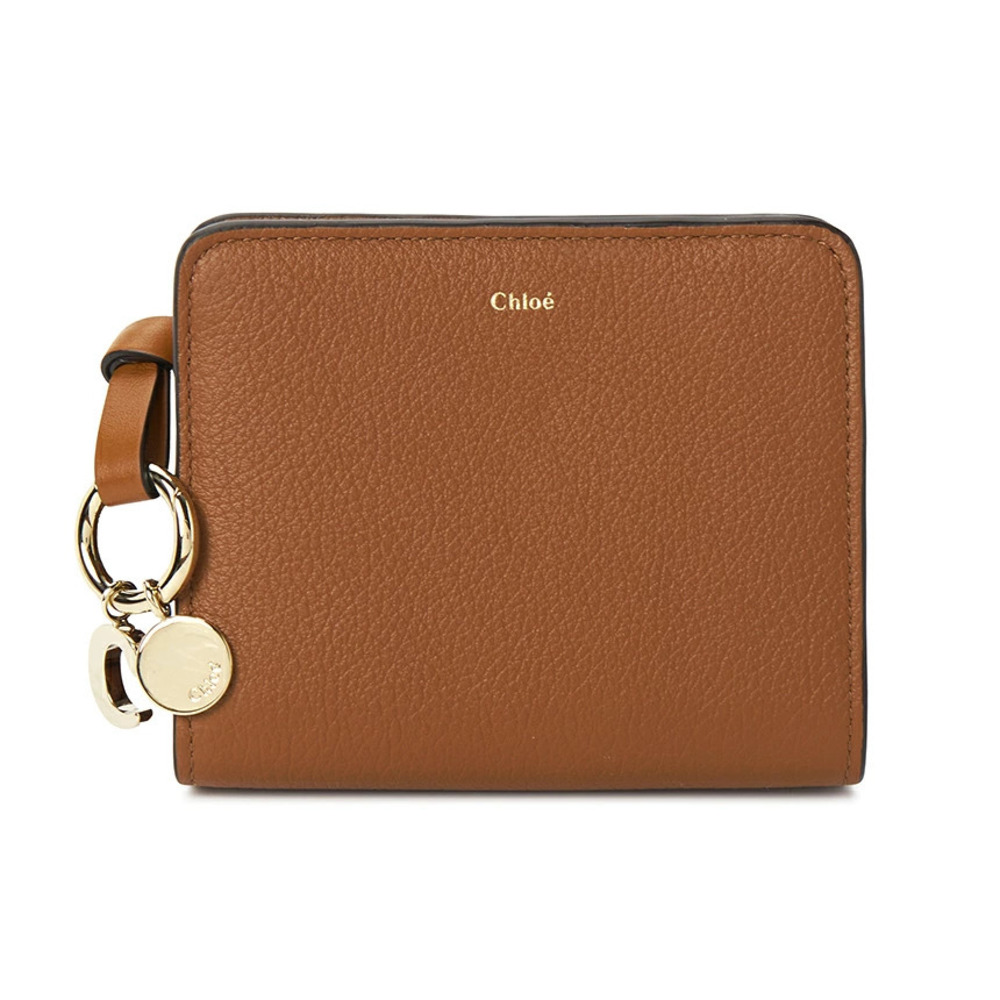 SAINT LAURENT PARIS Billfold Card Case